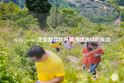 大同企业都喜欢开展团建活动的原因